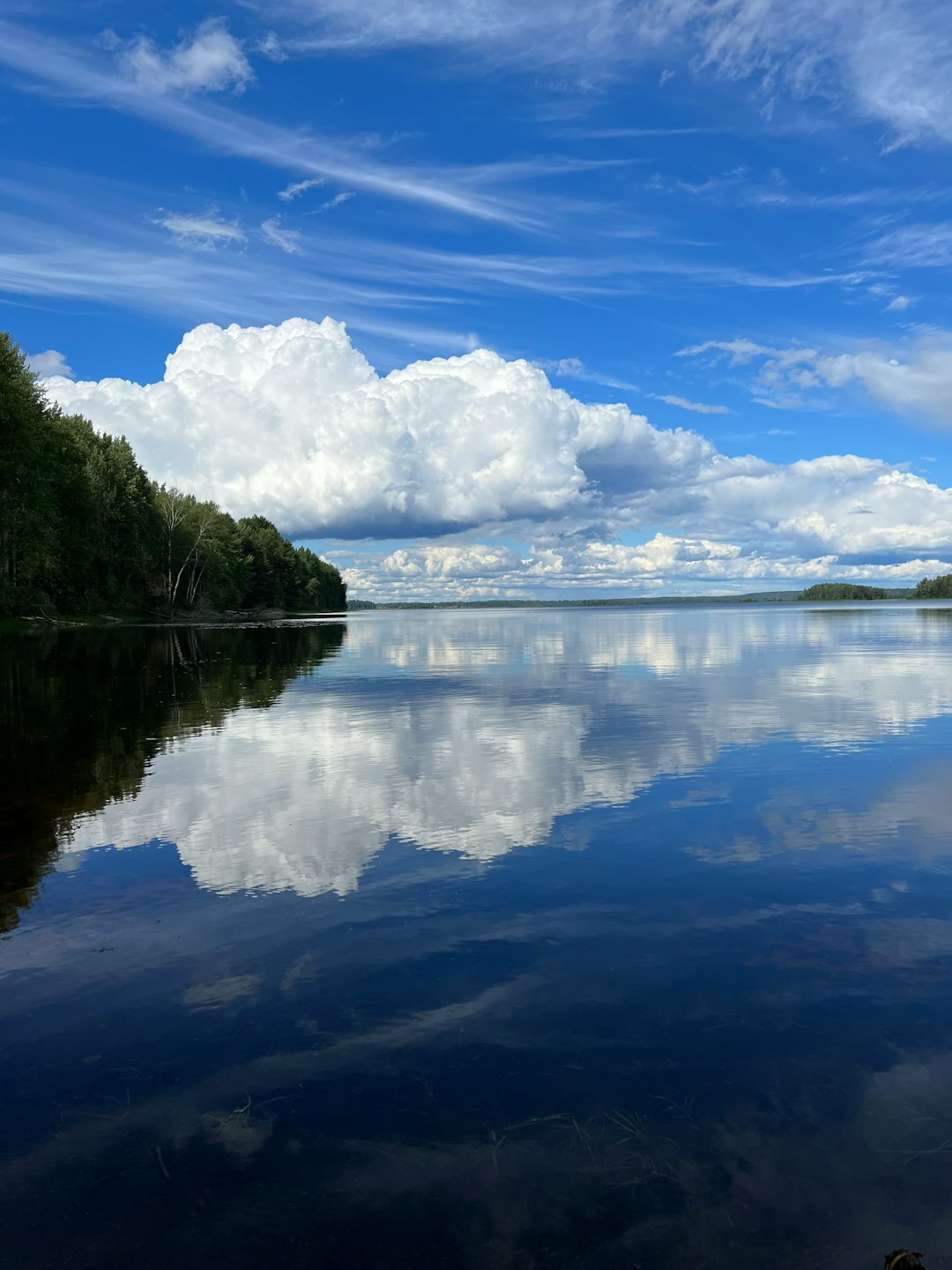 Skog som kantar stranden av en lugn, reflekterande sjö.